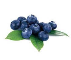 Bilberry Extract